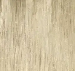 Seamless Scandinavia Blonde Clip-Ins #17/22/60 - 20" 220g