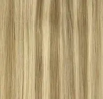 Seamless Dirty Blonde Highlights Clip-Ins #P16/22A - 20" 220g